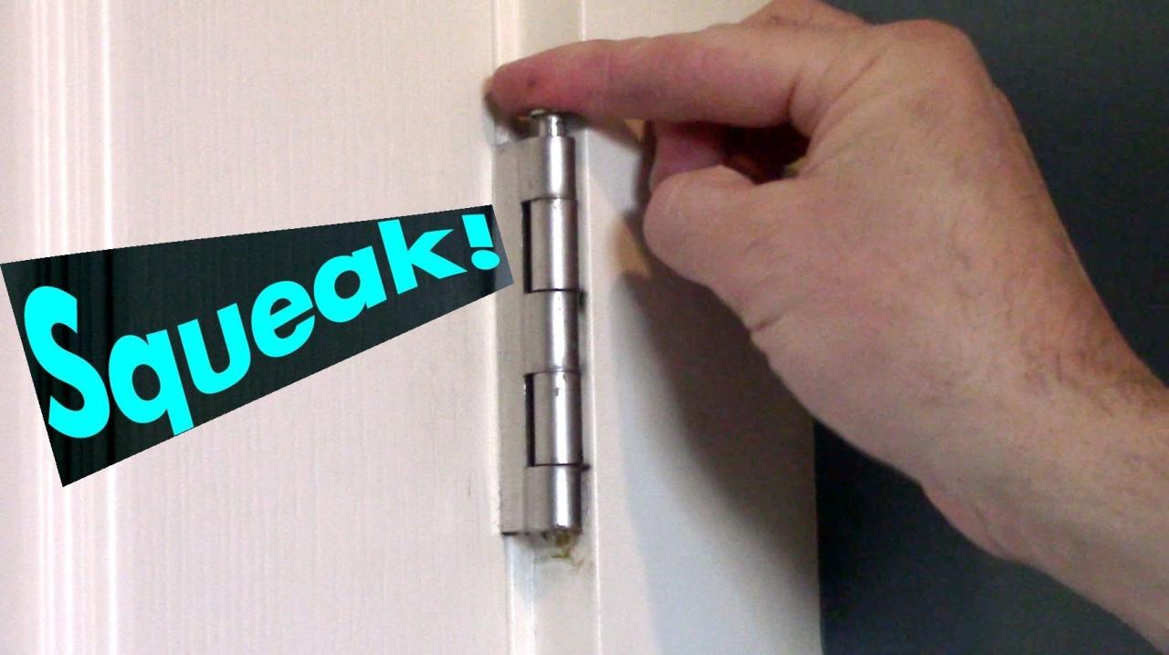 Incredible How To Fix Squeaky Door Hinges With Wd40 References - Greened Incredible How To Fix Squeaky Door Hinges With Wd40 References - Greened